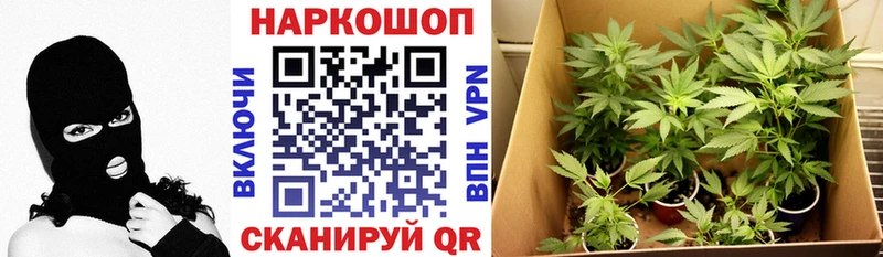Купить закладку Гашиш  Alpha PVP  Меф мяу мяу  Cocaine  Реутов