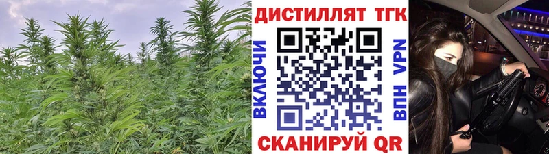 Купить закладки  Реутов  ТГК концентрат 