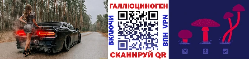 Псилоцибиновые грибы Psilocybe  Купить где  Реутов 